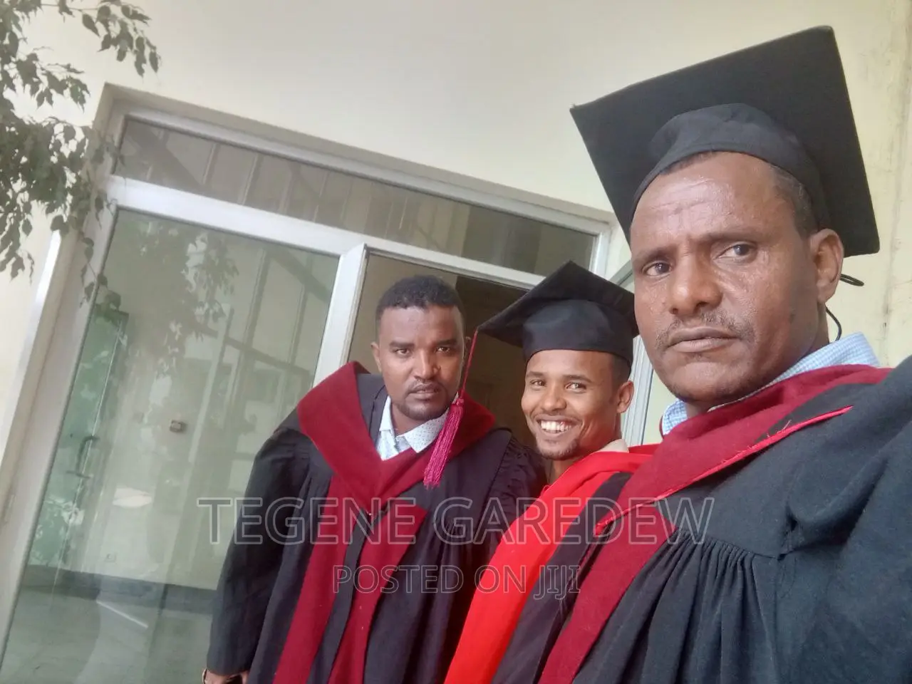 Lecturer, Tutor, Teacher, Developer, Programming Teacher