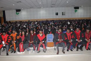 Lecturer, Tutor, Teacher, Developer, Programming Teacher