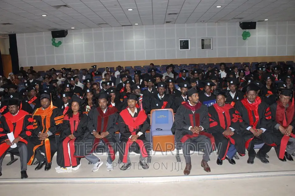 Lecturer, Tutor, Teacher, Developer, Programming Teacher