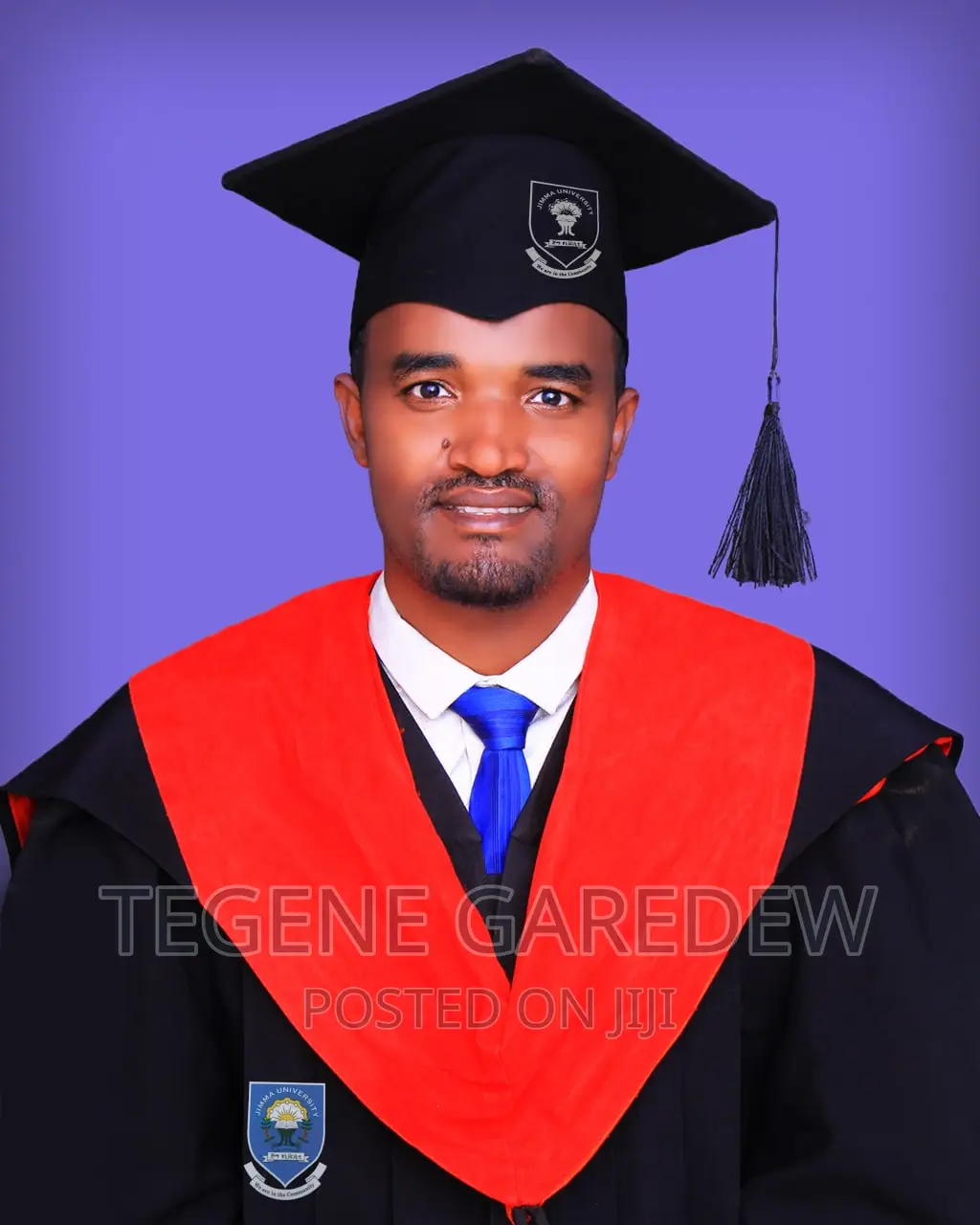 Lecturer, Tutor, Teacher, Developer, Programming Teacher