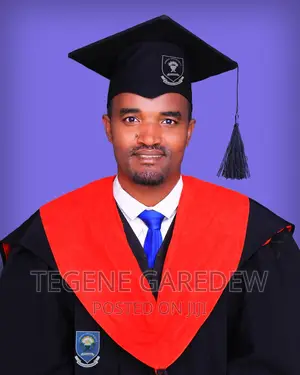 Lecturer, Tutor, Teacher, Developer, Programming Teacher