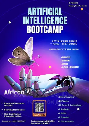 Lecturer, Tutor, Teacher, Developer, Programming Teacher