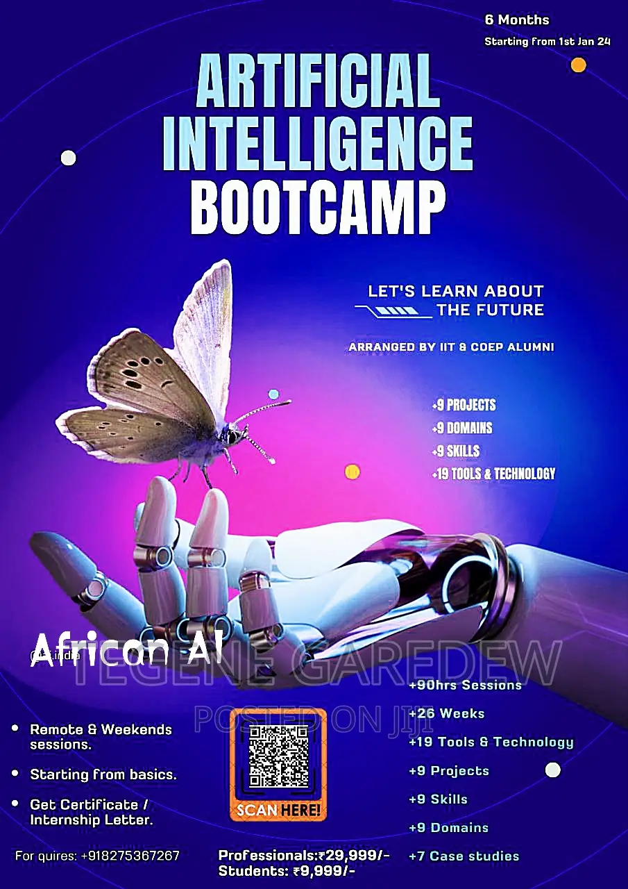 Lecturer, Tutor, Teacher, Developer, Programming Teacher