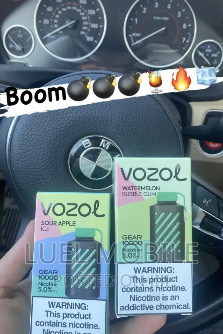 Vozol 10000 Pufff Vape