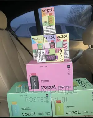 Vozol 10000 Pufff Vape