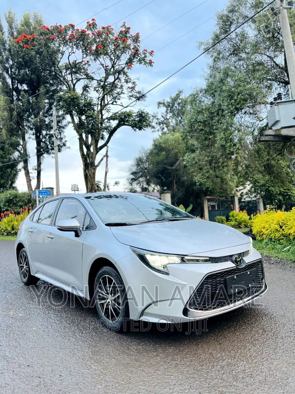 Toyota Corolla 2023 White