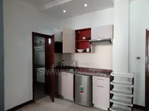 Furnished 1bdrm Apartment in Bole for rent