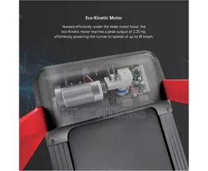 Reebok Fr20 Exercises Treadmill