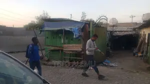 Photo - የሚሸጥ ቦታ ይርር አለማየሁ አካባቢ