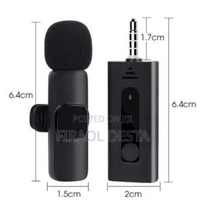 Photo - Wireless Microphone