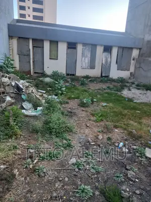 Photo - የሚሸጥ ቦታ አያት