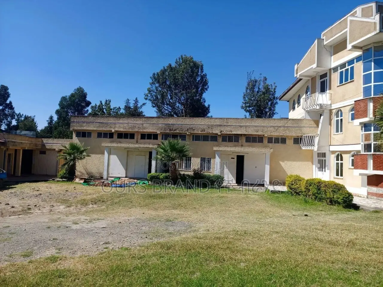 Organizations Place for Sell