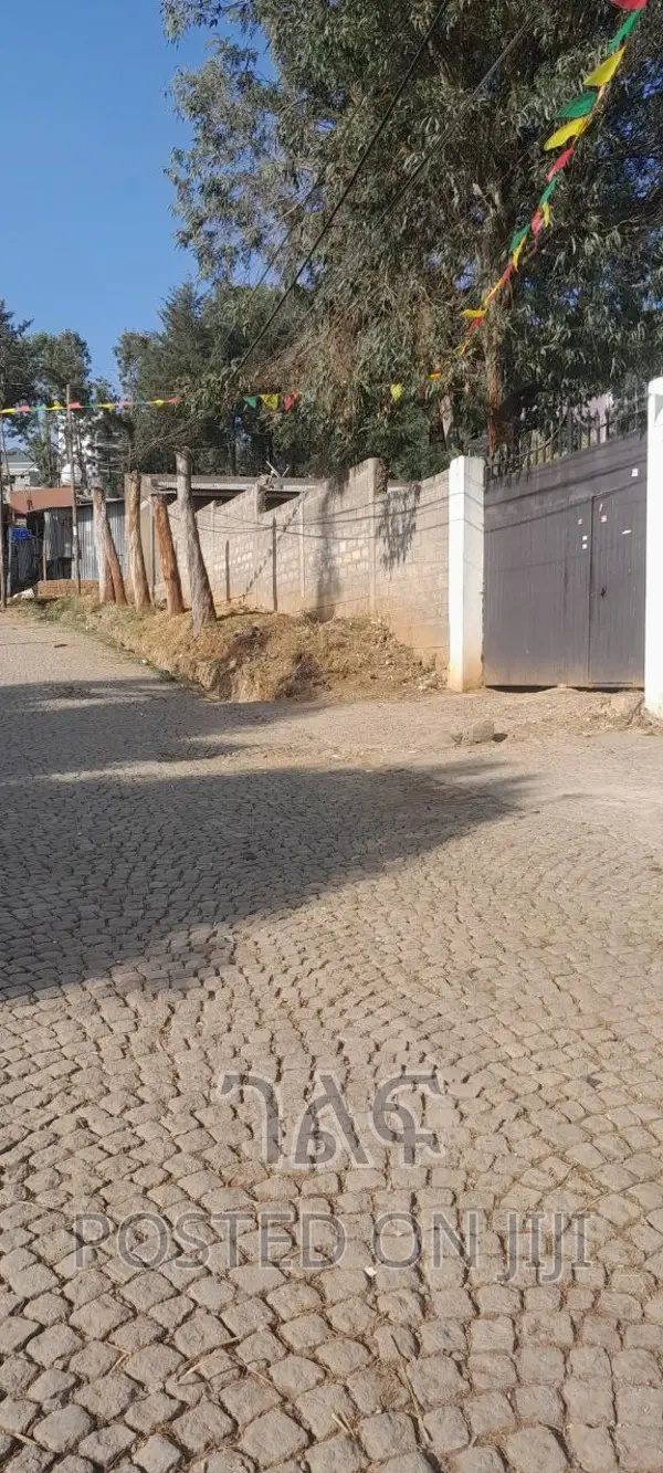 በጣም ምርጥ ቦታ ገርጂ አልፎዝ ፕላዛ