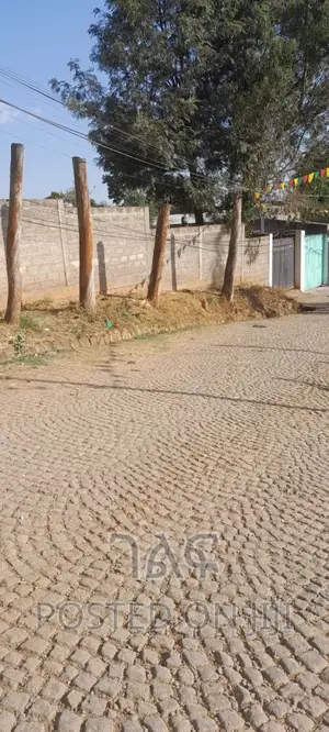 በጣም ምርጥ ቦታ ገርጂ አልፎዝ ፕላዛ