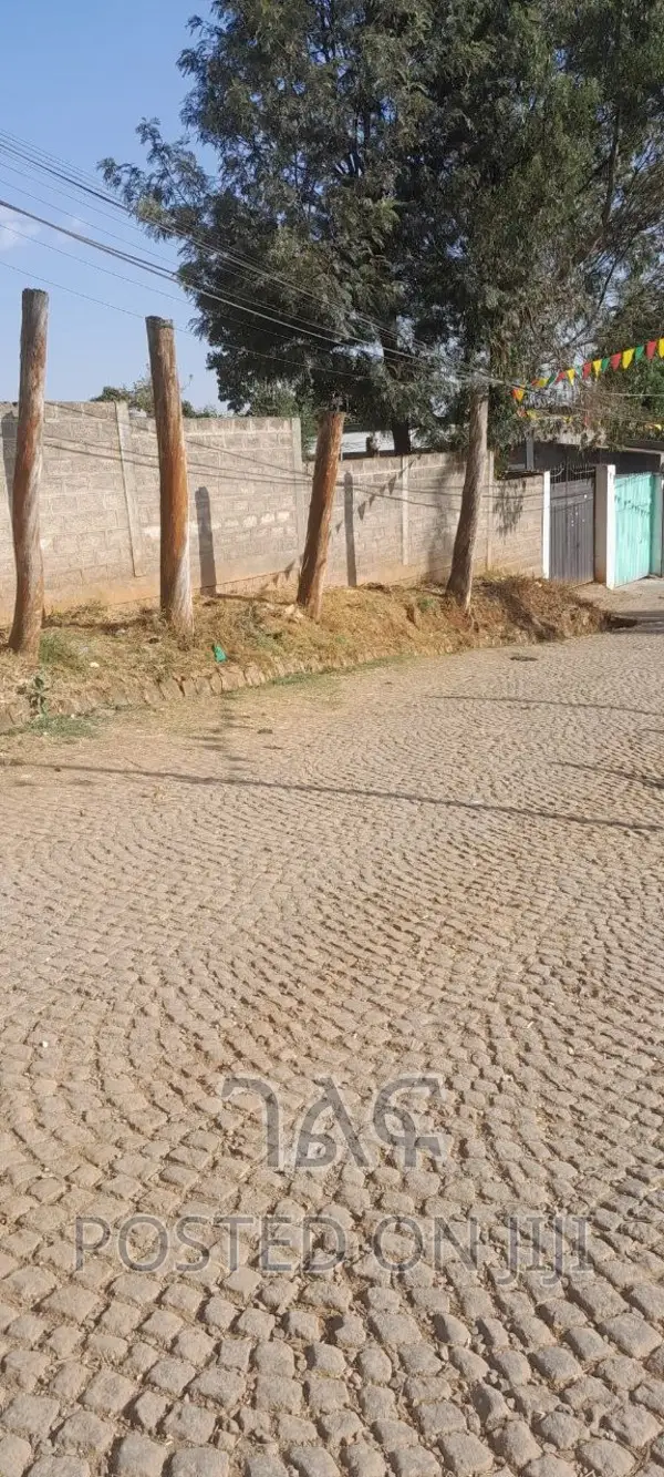 በጣም ምርጥ ቦታ ገርጂ አልፎዝ ፕላዛ