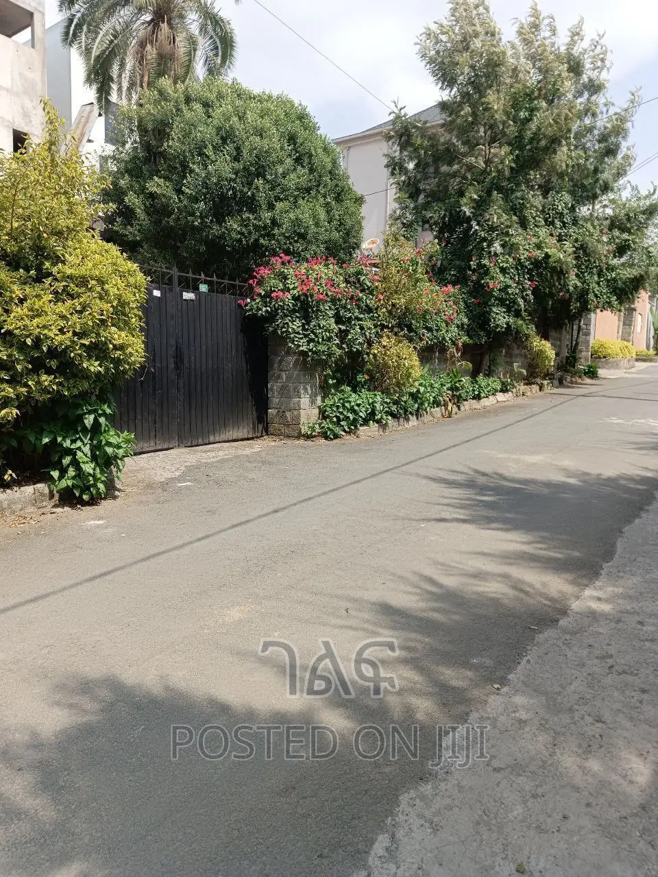 በጣም ቆንጆ ቦታ ፊጋ አስፓልት ዳር ለአፓርትመንት በተለይ ገንቢዎች