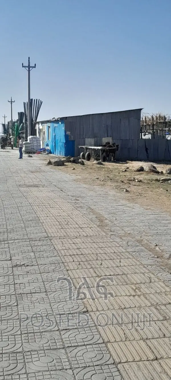 100 ሺ ብር ወራዊ ገቢ ያለው የተከራዩ ሱቆች ያሉት ምርጥ ቦታ አራብሳ 50 ሜትር አስፓልት