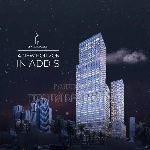 2bdrm Apartment in Central Plaza, Lideta for sale