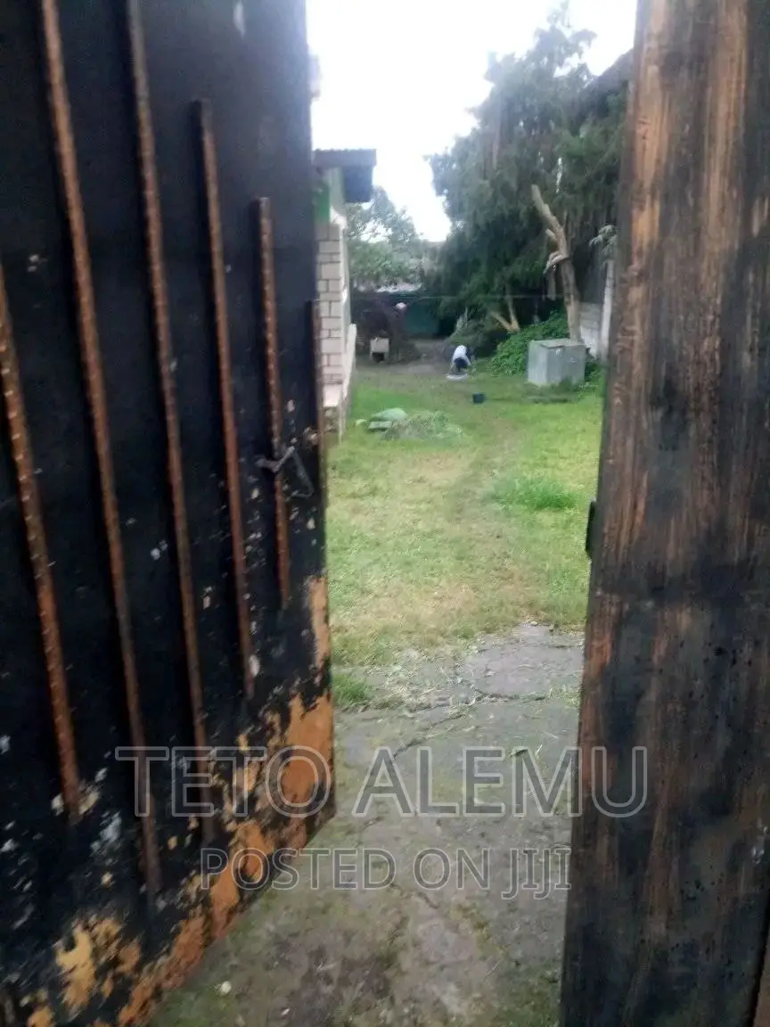 የሚሸጥ የድሮ ቪላ ያለው ቦታ ወሰን