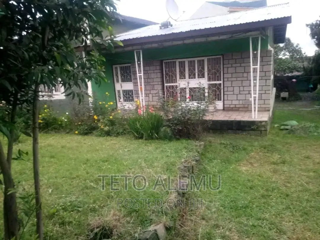 የሚሸጥ የድሮ ቪላ ያለው ቦታ ወሰን