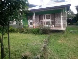 የሚሸጥ የድሮ ቪላ ያለው ቦታ ወሰን