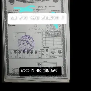 በጣም አሪፍ ሱቆችና ትልቅ ስፖር ያለው ቦታ 100 ሺ የተከራየ አያት 49