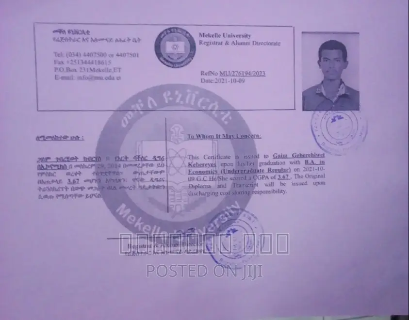 HR Managing, Project Analysis,Business Plan,Languageteaching