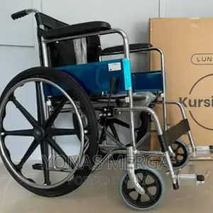 Fashionable Simplicity Elderly Wheelchair Fold Lightweight