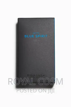 Photo - Original Zara Blue Spirit