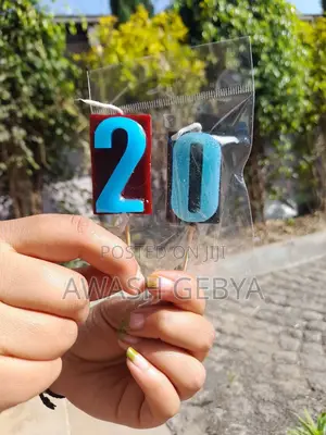 Do You Need Candle for Pray or for Brithday