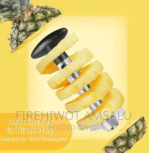 Pineapple Corer