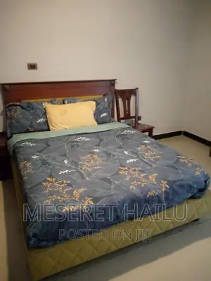 Furnished 1bdrm Apartment in Mesekle Flower, Bole for rent