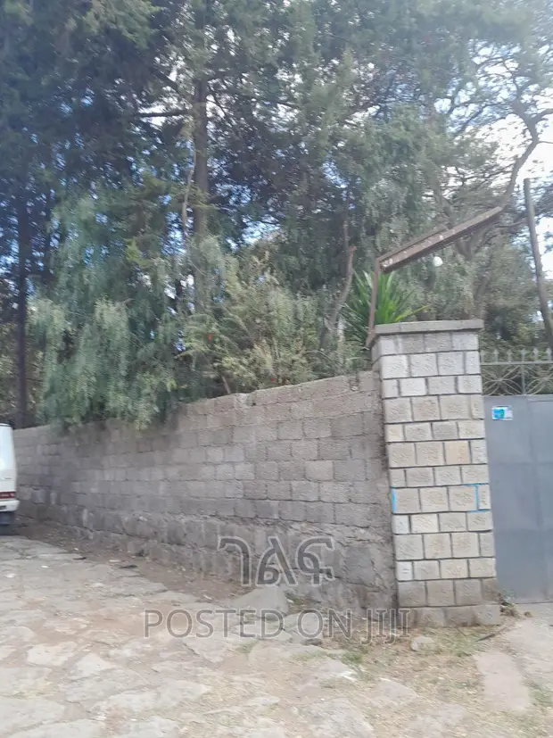 መገናኛ አካባቢ የሚሸጥ የድሮ ቤት ለአፓርትመንት የሚሆ ቆንጆ ቦታ ከአሰፓልት ግልባጭ