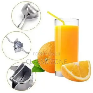 Fruit Juicer