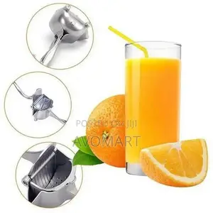 Fruit Juicer