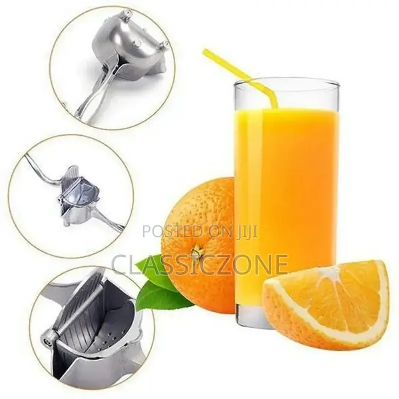 Fruit Juicer