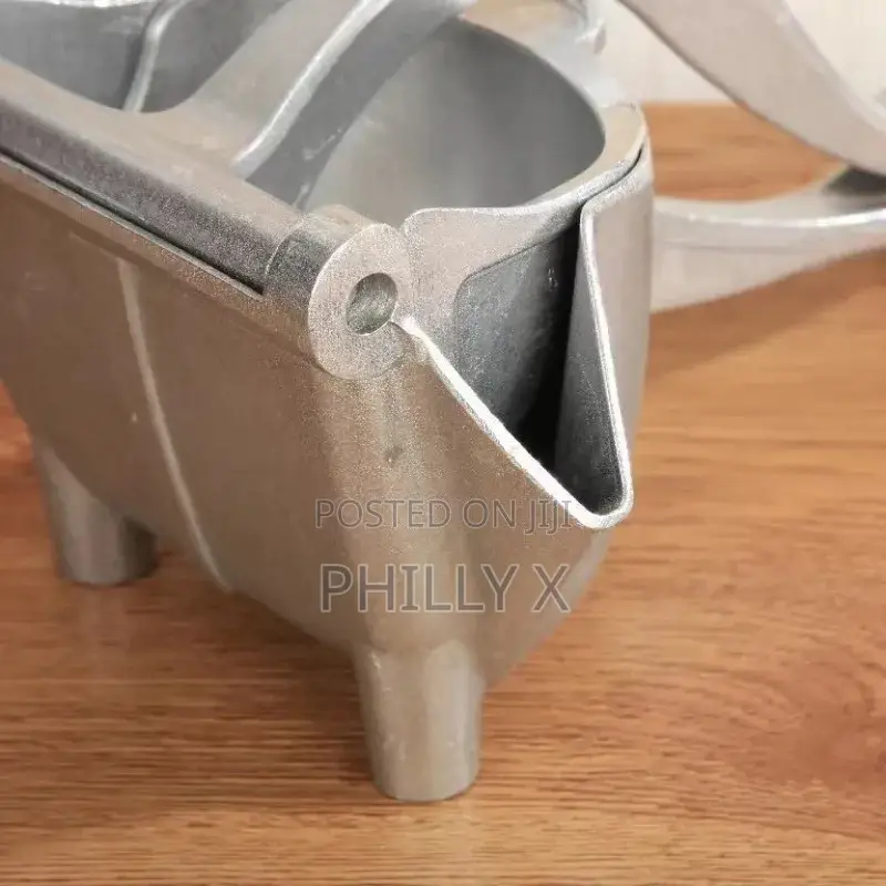 Fruit Juicer