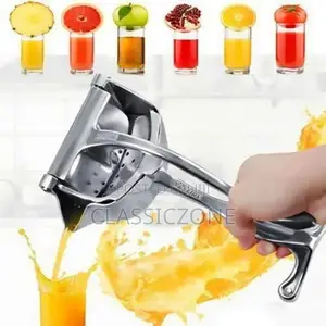 Fruit Juicer