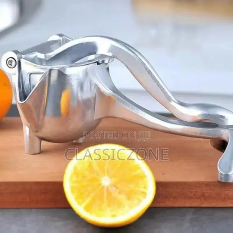 Fruit Juicer