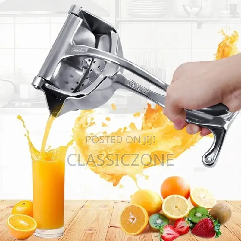 Fruit Juicer