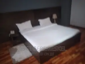 Furnished 1bdrm Apartment in Yasew Realstet, Bole for rent