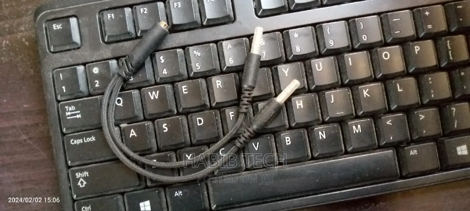 Mini Audio Cable