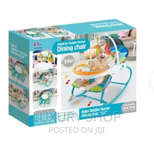 3 in 1 Infant to Toddler