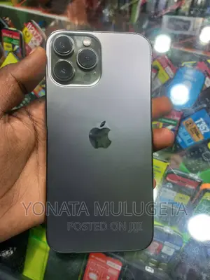 Apple iPhone 13 Pro Max 256 GB