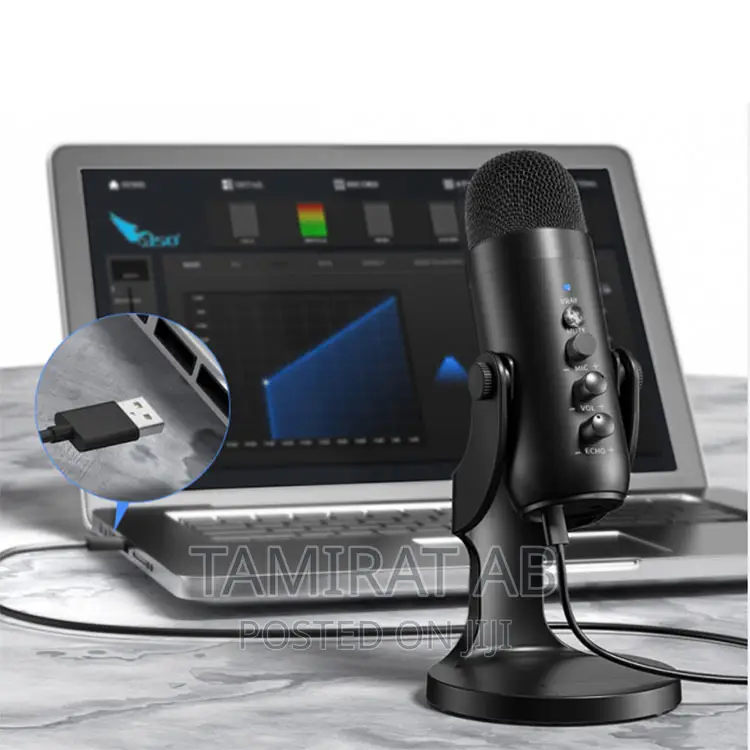 PW8 Jmary Professional Condenser Desktop USB Microphone