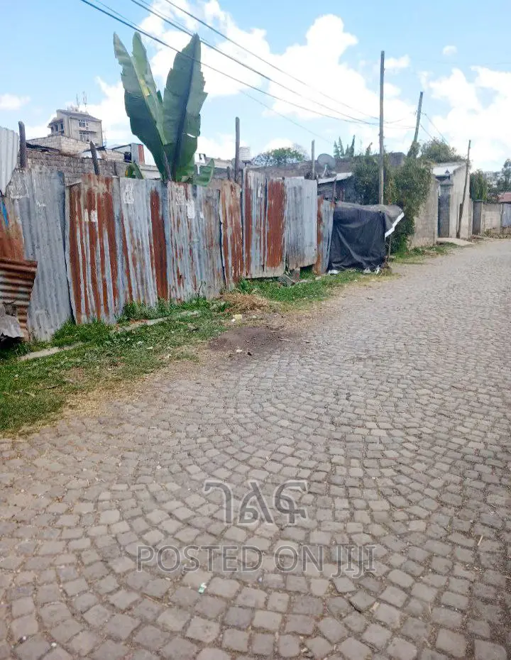 አስኳይ የሚሸጥ ቦታ ጉርድ ሾላ 550 ካሬ