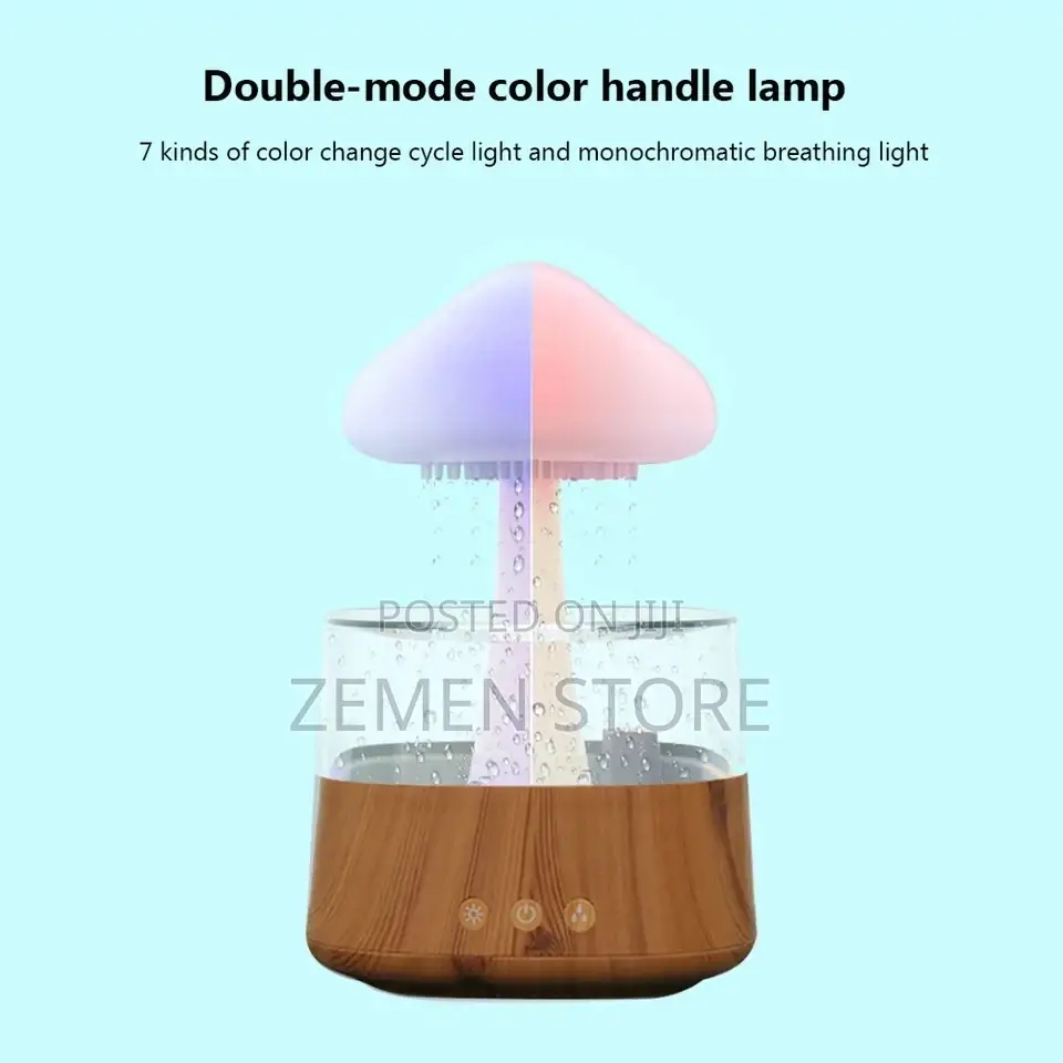 Cloud Rain Humidifier