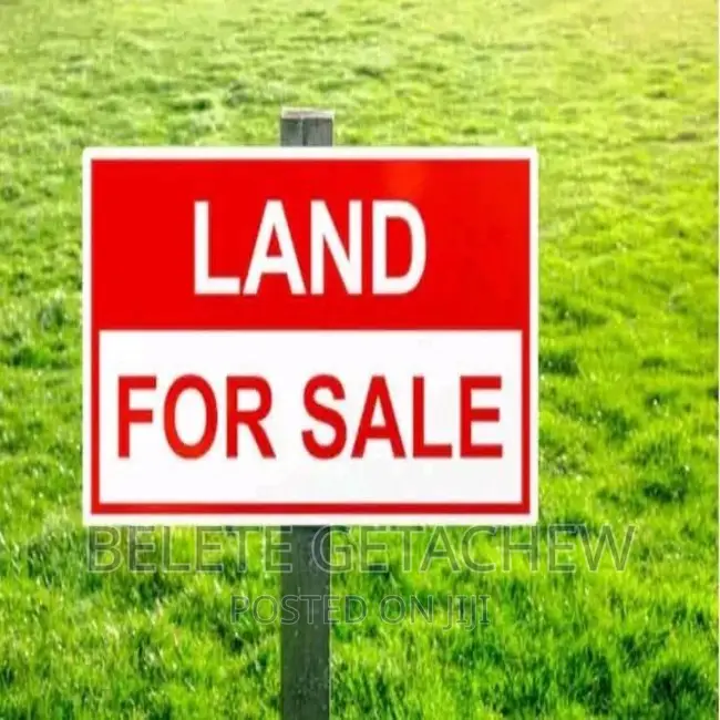 ሜክሲኮ የግንባታ ቦታ ሽያጭ ፡ 7000ካሬ