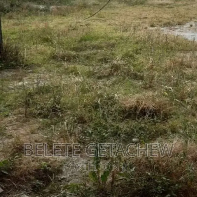 ሜክሲኮ የግንባታ ቦታ ሽያጭ ፡ 7000ካሬ