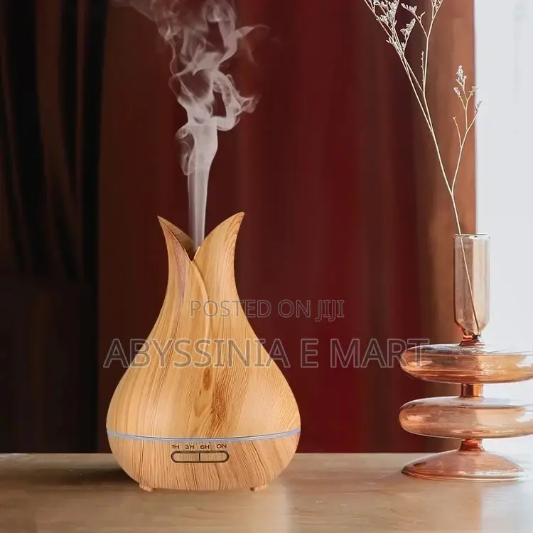 High Quality Ultrasonic Aroma Humidifier